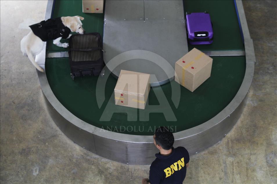 Melatih dan merawat satwa jagoan pengendus narkotik
