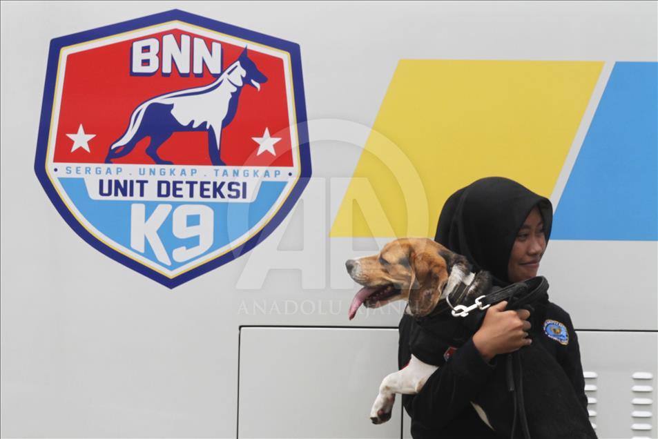 Melatih dan merawat satwa jagoan pengendus narkotik