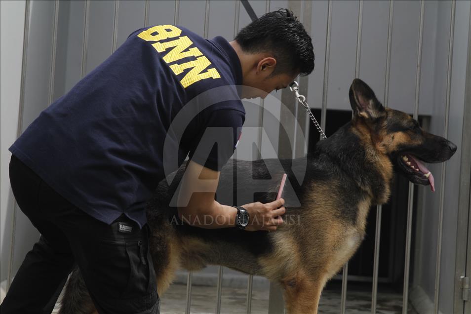 Melatih dan merawat satwa jagoan pengendus narkotik