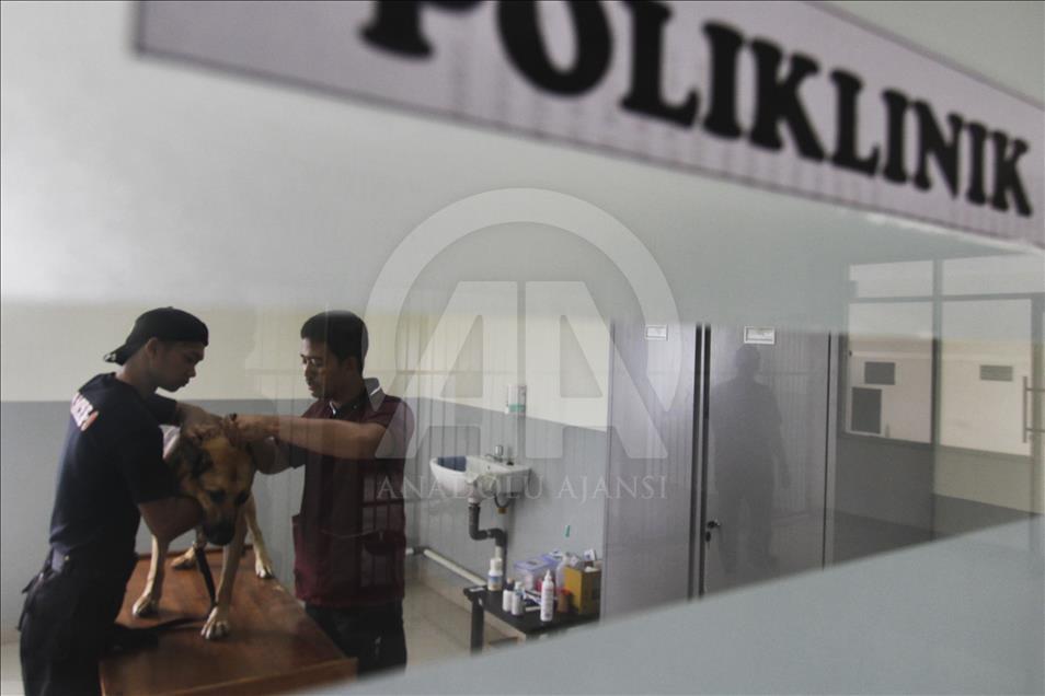 Melatih dan merawat satwa jagoan pengendus narkotik