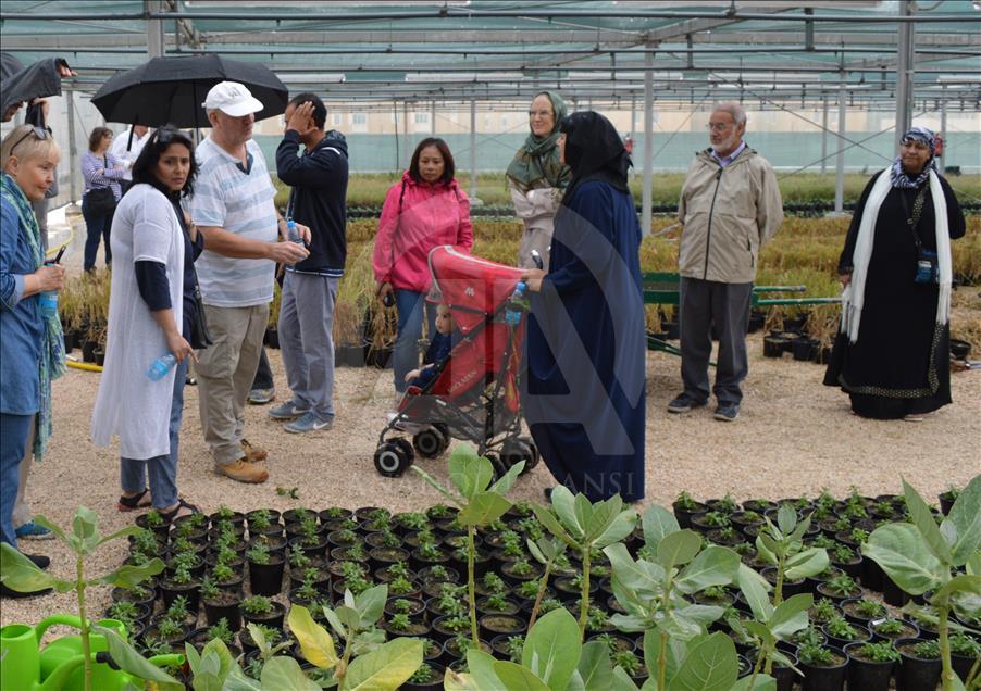 Katar'da Kur'an Botanik Bahçesi kuruldu

