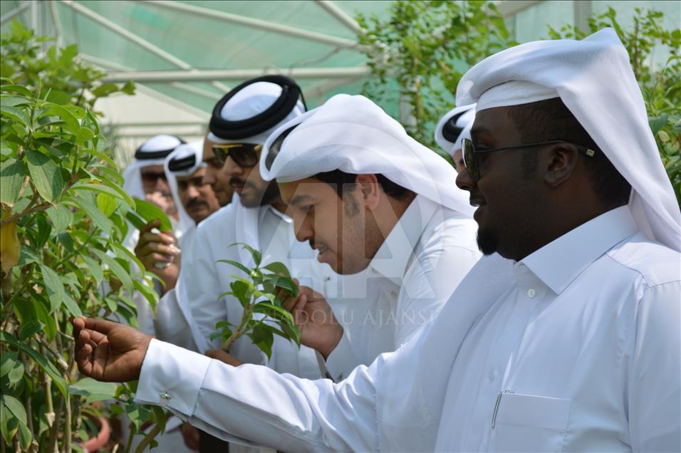 Katar'da Kur'an Botanik Bahçesi kuruldu
