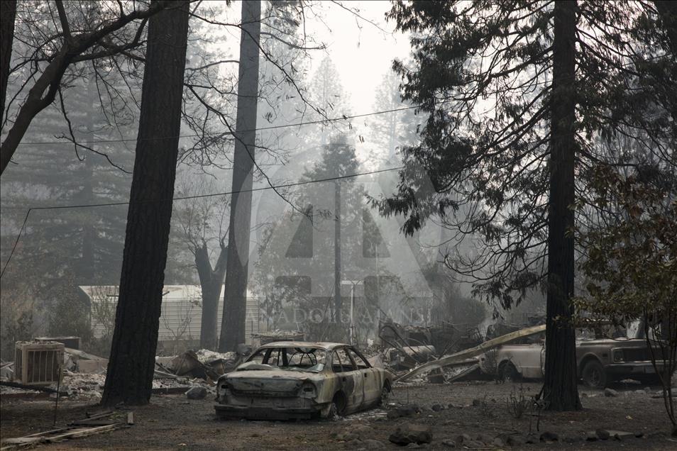 US: 31 dead in California wildfires