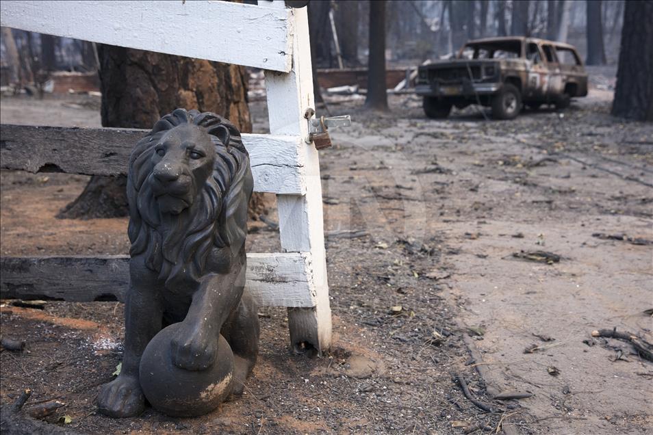 California tarihindeki en büyük orman yangınlarıyla boğuşuyor
