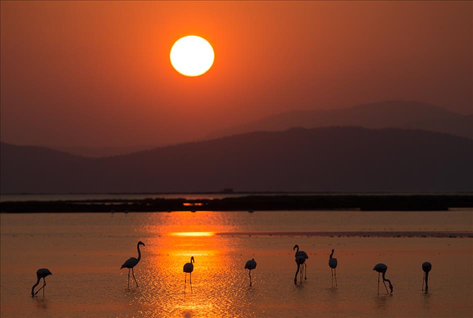 İzmir Kuş Cenneti'nde gün batımı