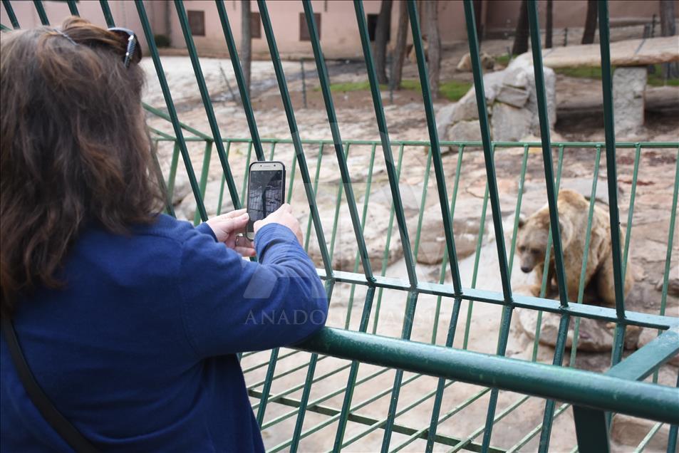 Gaziantep Hayvanat Bahçesi'nde ziyaretçi rekoru