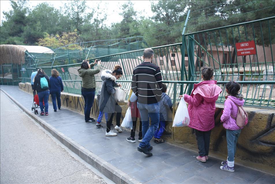 Gaziantep Hayvanat Bahçesi'nde ziyaretçi rekoru