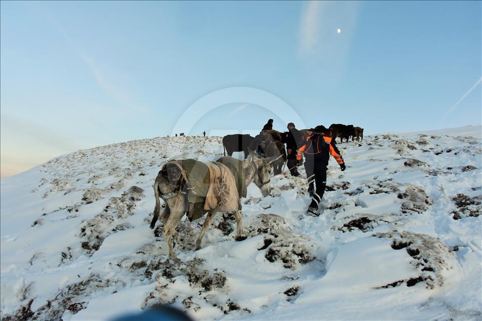 Muş'ta karda mahsur kalan 15 çoban kurtarıldı
