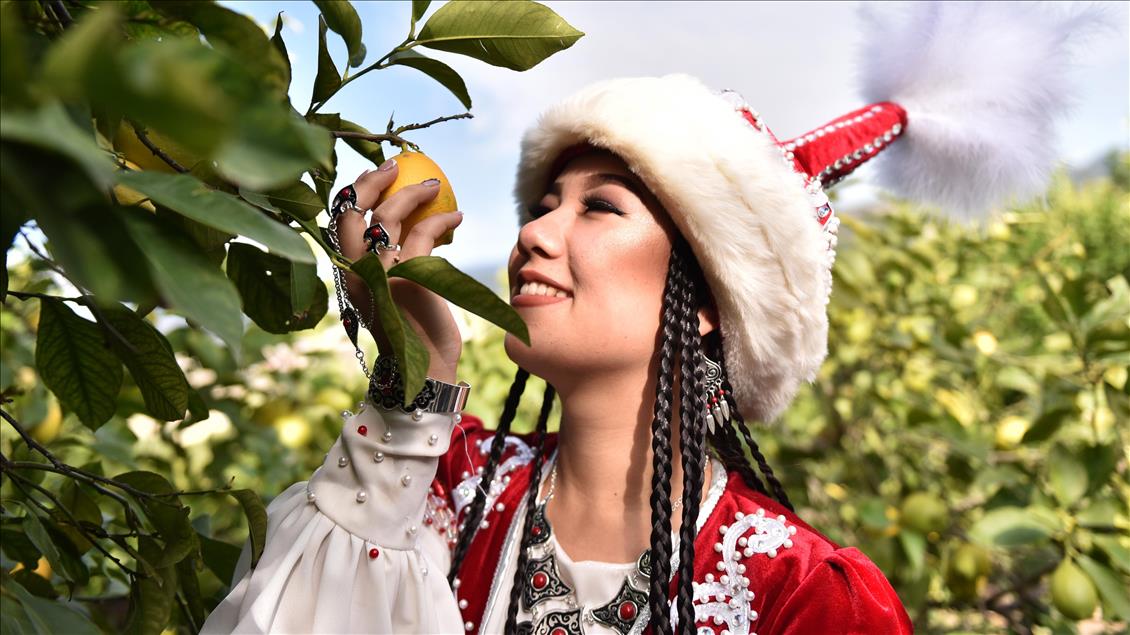 30 ülkenin vatandaşlarından renkli narenciye hasadı