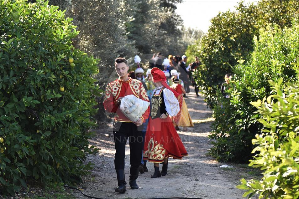 Жители 30 стран участвовали в сборе цитрусовых на юге Турции
