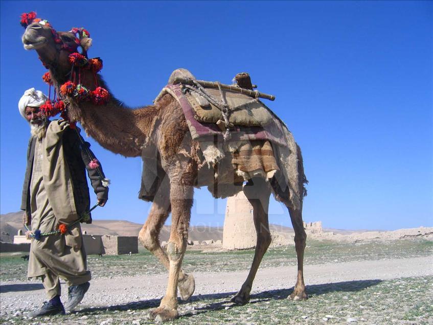 El “mejor mochilero del mundo”, un argentino que viaja con cinco dólares diarios
