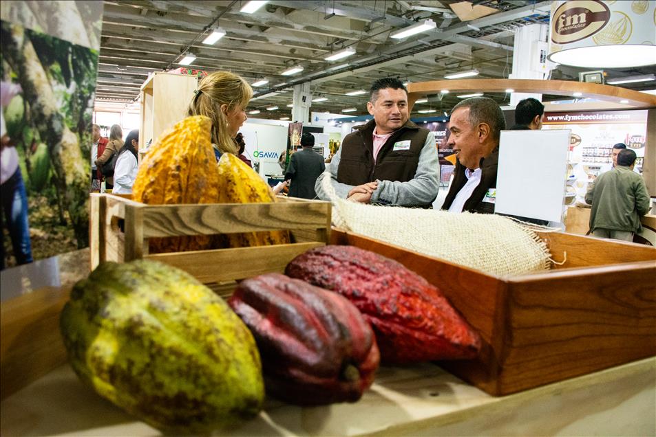Feria en Bogotá muestra la experiencia del cacao al chocolate