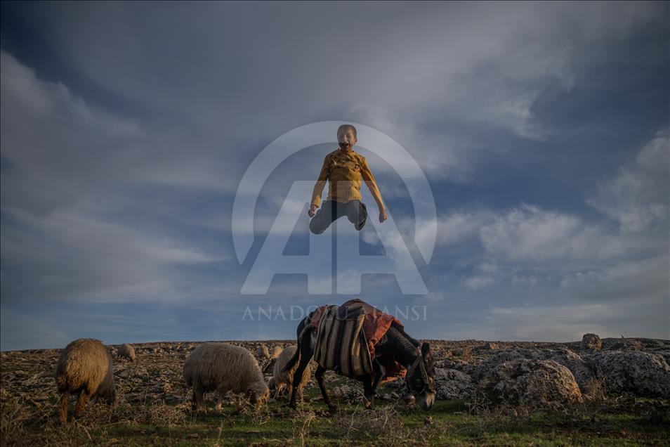 Breeders and their sheep in Turkey