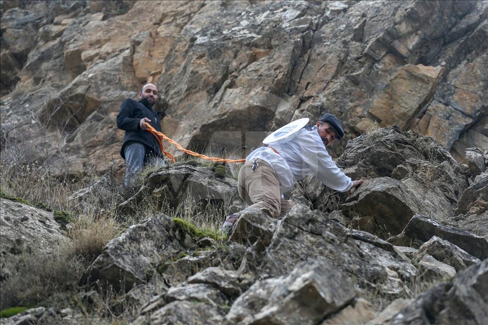 Dangerous climbing to reach the "rock honey" in Turkey's Van