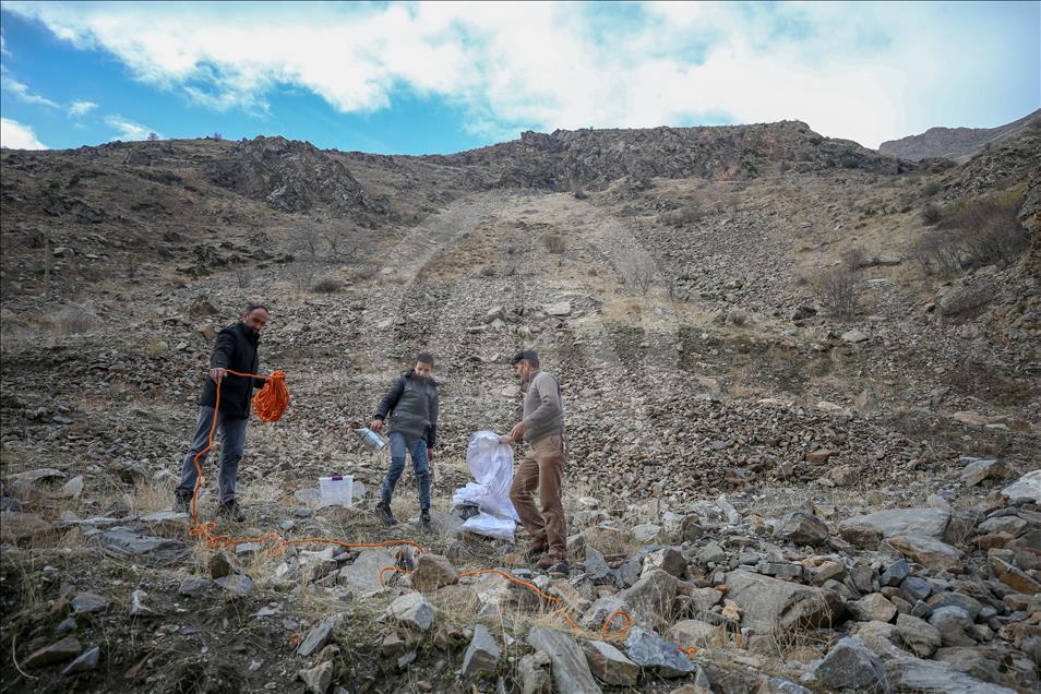 Dangerous climbing to reach the "rock honey" in Turkey's Van