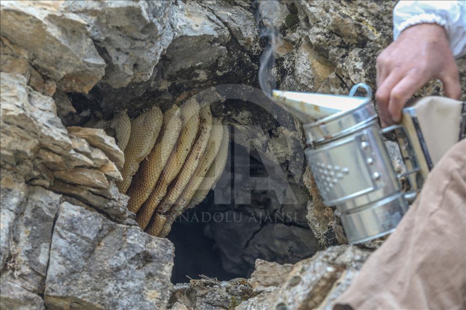 Dangerous climbing to reach the "rock honey" in Turkey's Van