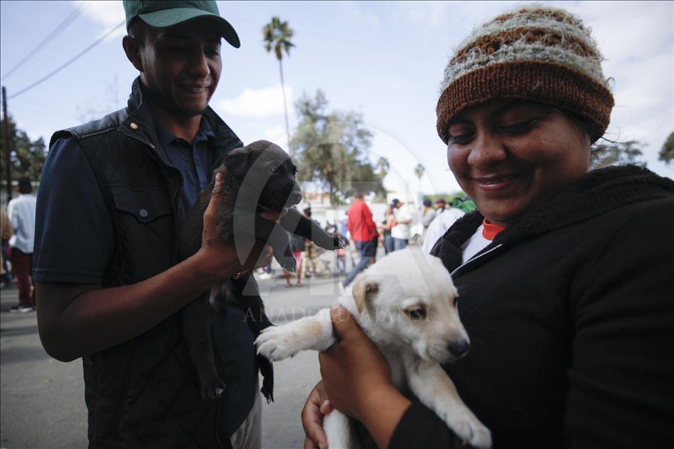 Tijuana'ya gelen göçmen sayısı 9 bine ulaştı