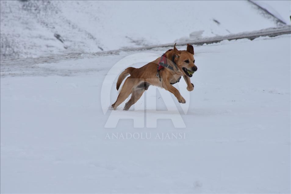 Muş'taki özel birlik PKK'nın korkulu rüyası