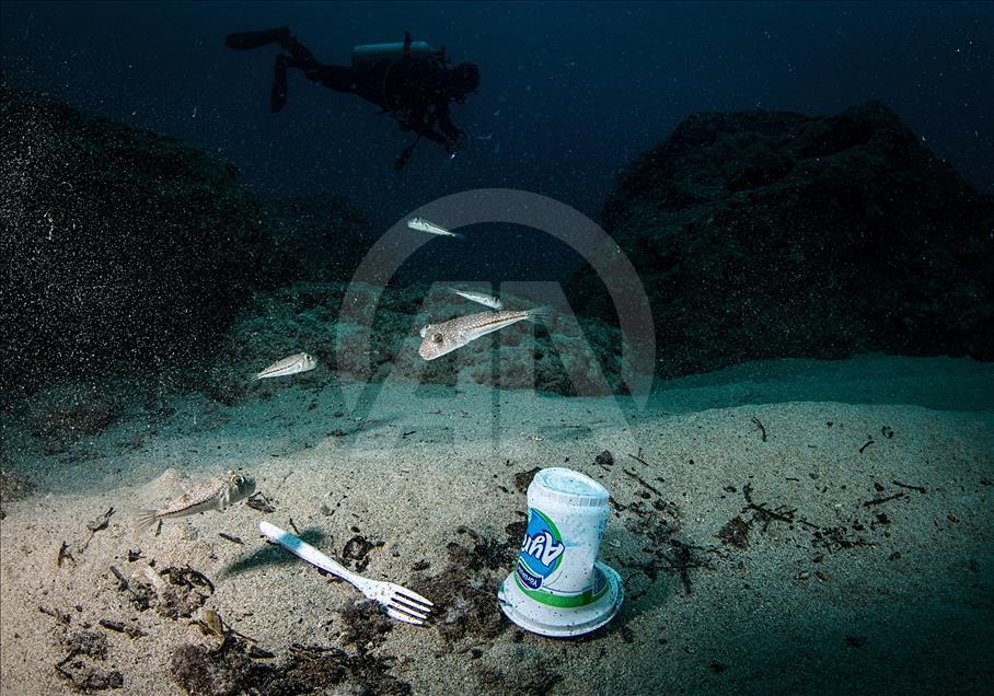 Plastics pollution increasing in Turkish seas