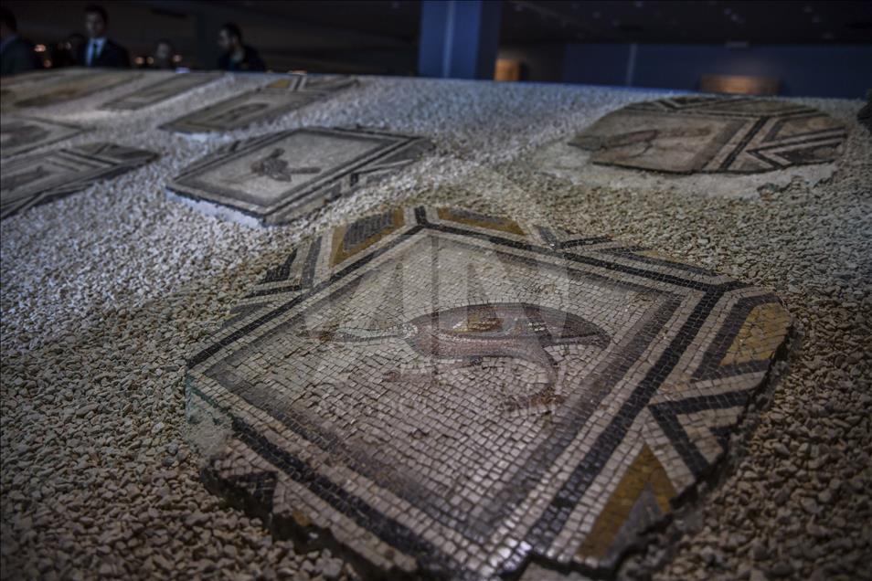 Public Exhibit of Gypsy Girl Mosaic in Gaziantep
