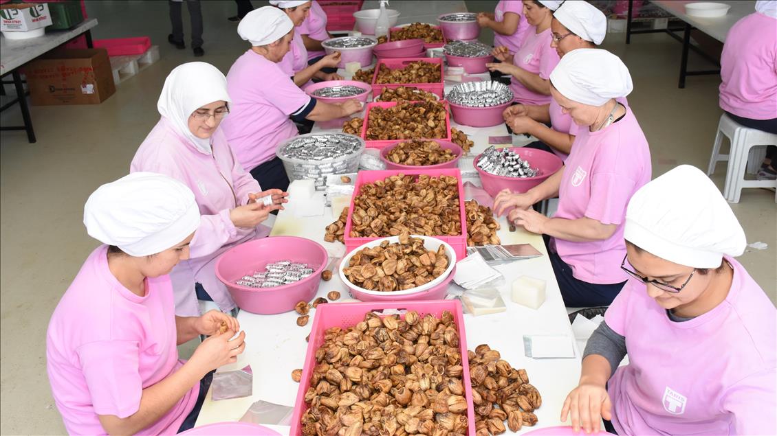 Kuru incir, Hindistan pazarına düğünlerle girdi