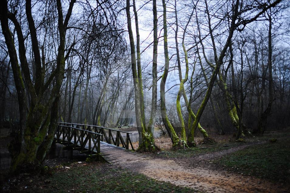 Saraybosna'da "Vrelo Bosne" Milli Parkı