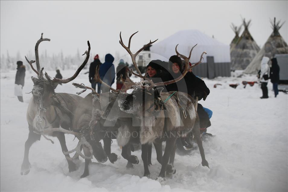 Reindeer Herders daily life in Yamalo