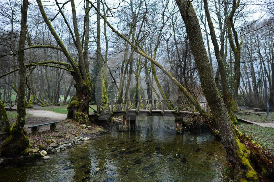 Saraybosna'da "Vrelo Bosne" Milli Parkı
