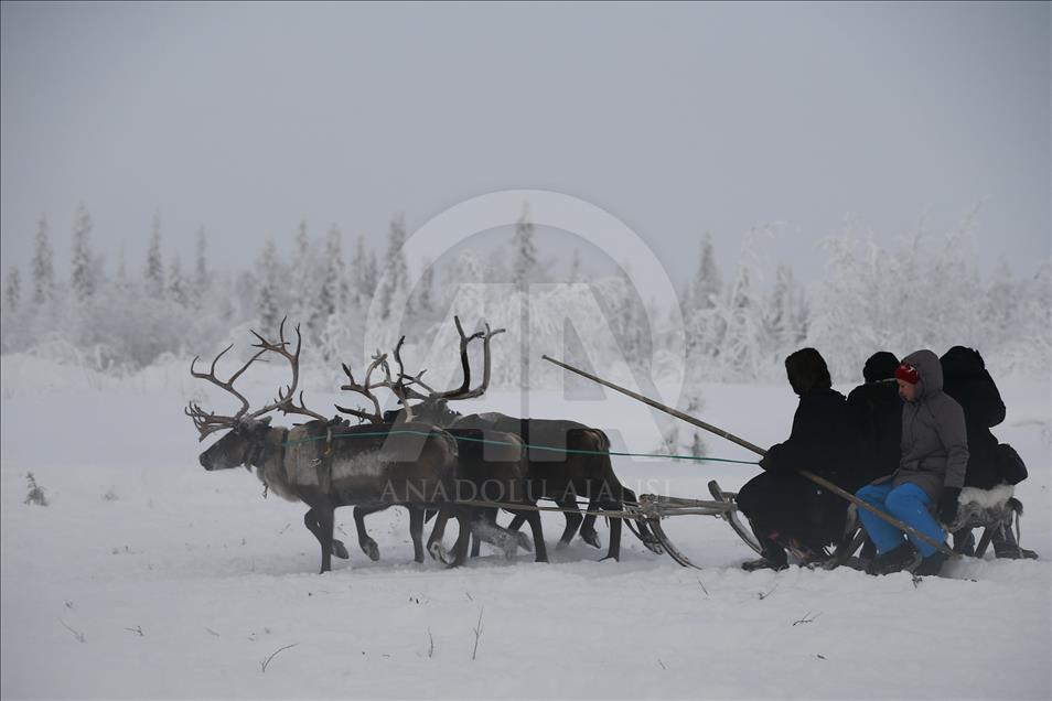 Reindeer Herders daily life in Yamalo