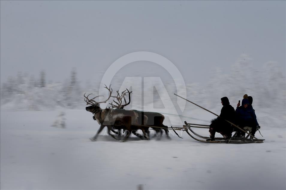 Reindeer Herders daily life in Yamalo