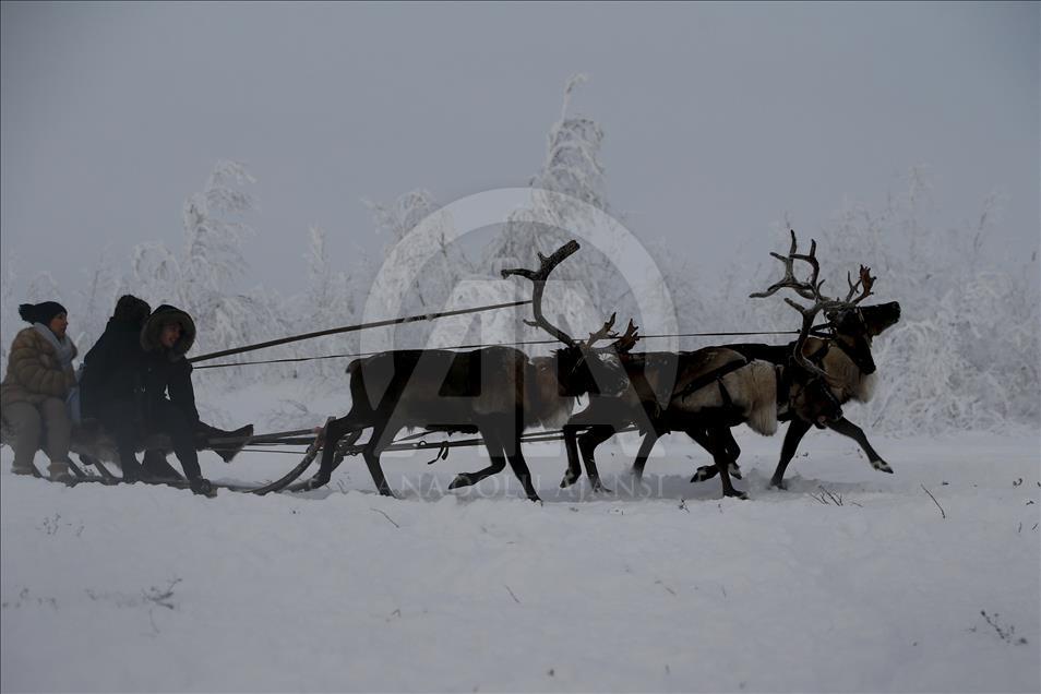 Reindeer Herders daily life in Yamalo