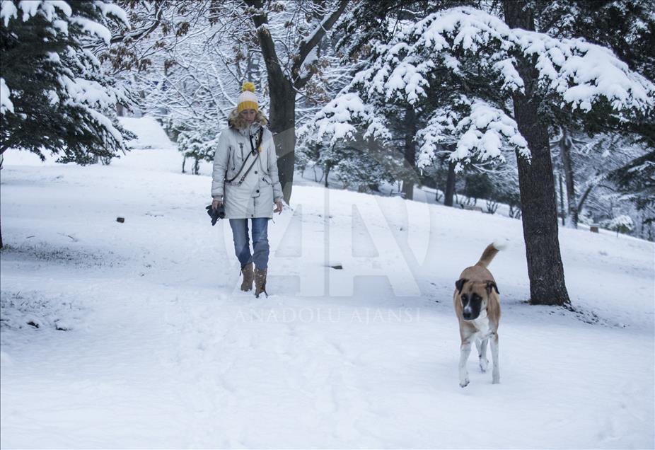 Snowfall in Ankara