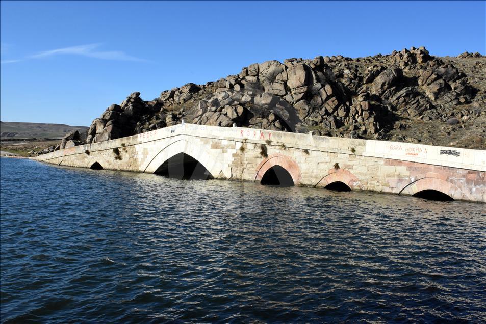 Selçuklu yadigarı Çeşnigir Köprüsü turizme kazandırılıyor
