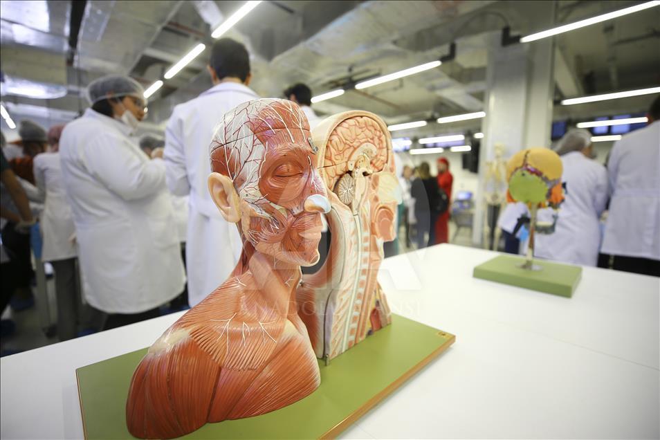 Tıp öğrencilerinden akranlarına uygulamalı kadavra eğitimi
