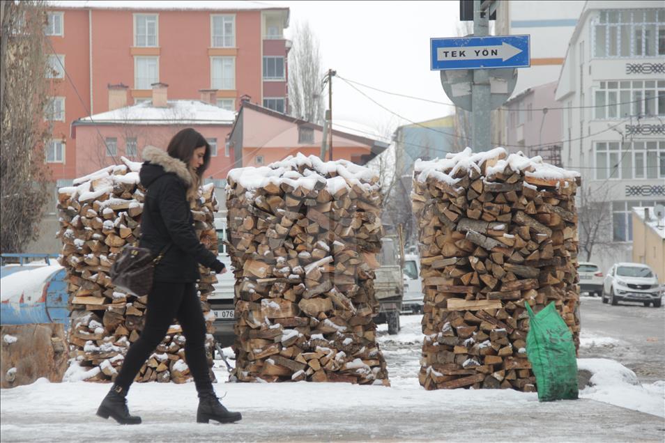 Kars'ta soğuk hava