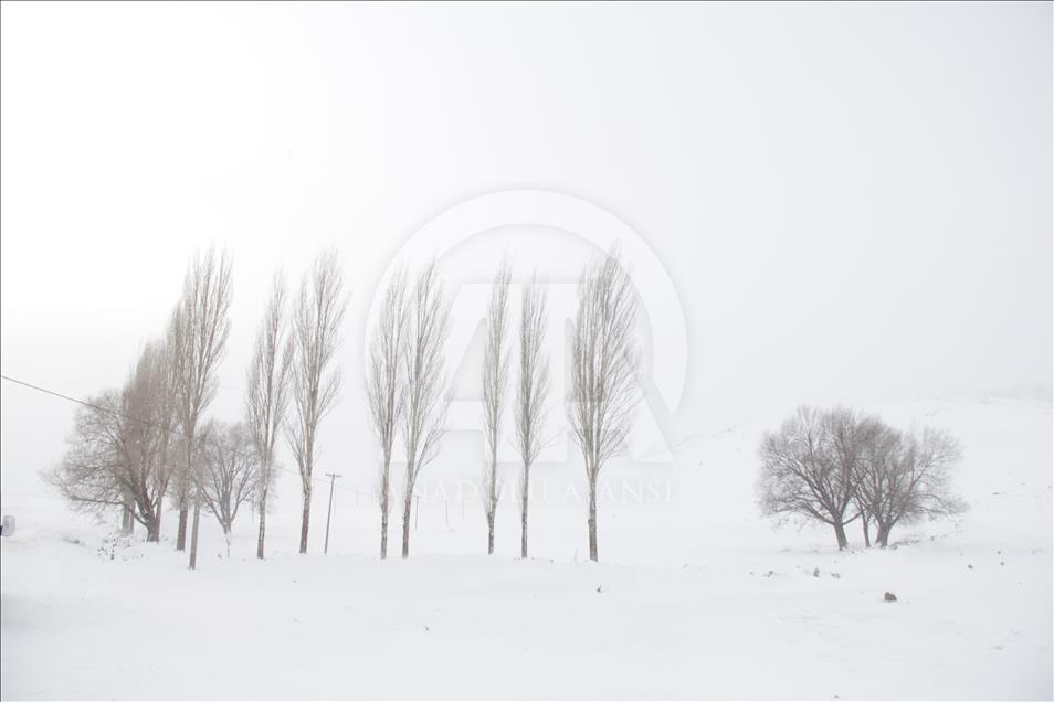 Kars'ta soğuk hava