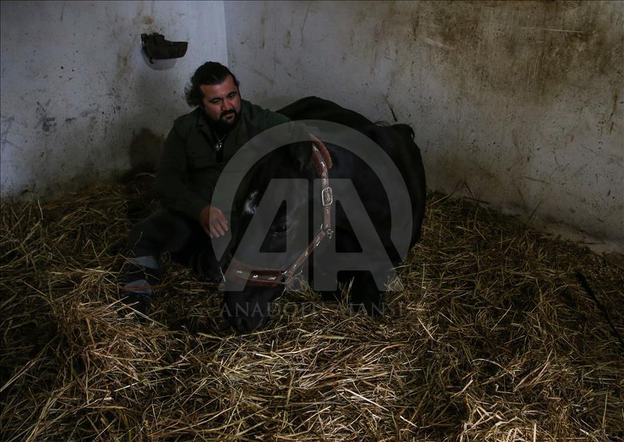 Babası hipodromun, oğlu gönüllerin şampiyonu