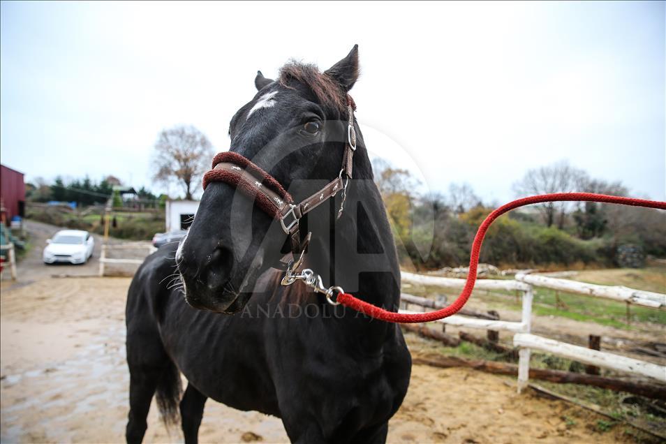 Babası hipodromun, oğlu gönüllerin şampiyonu