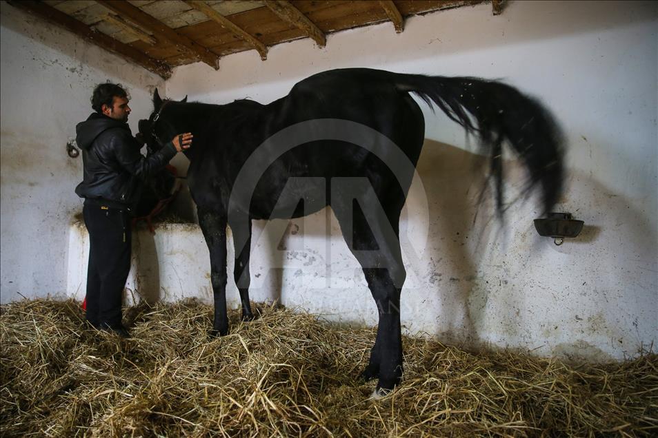 Babası hipodromun, oğlu gönüllerin şampiyonu