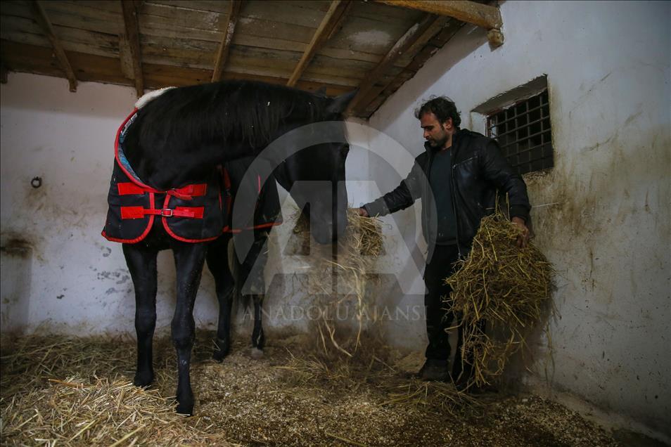 Babası hipodromun, oğlu gönüllerin şampiyonu