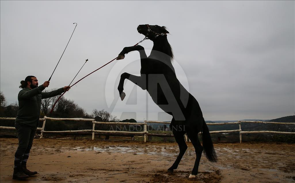 Babası hipodromun, oğlu gönüllerin şampiyonu