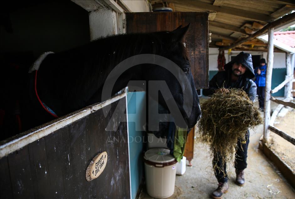 Babası hipodromun, oğlu gönüllerin şampiyonu