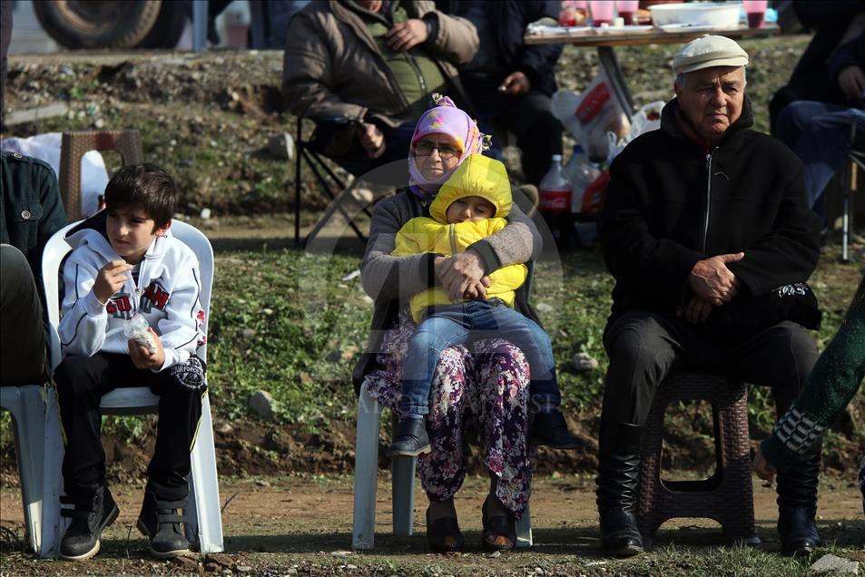Aydın'da deve güreşi festivali