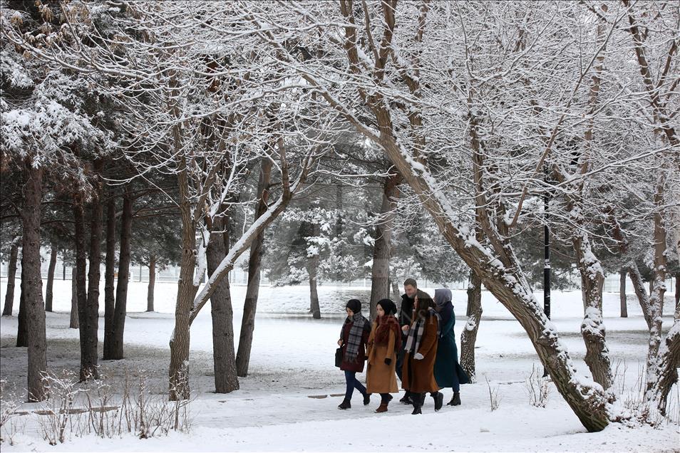 Erzurum'da kar yağışı