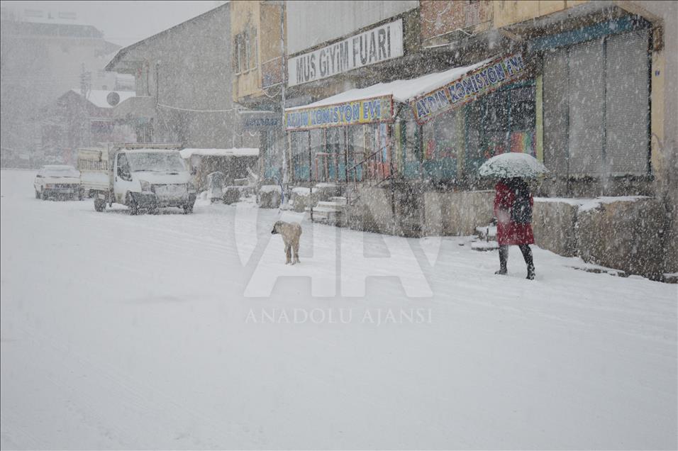 Doğu Anadolu'da kış