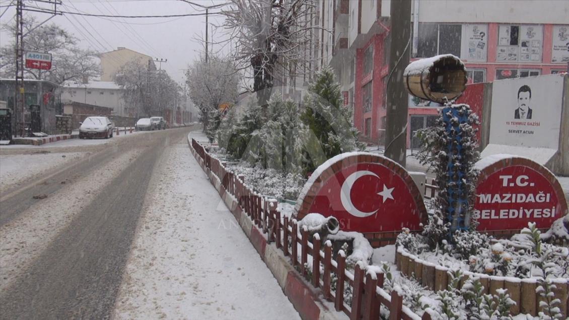 Doğu ve Güneydoğu Anadolu'da kış