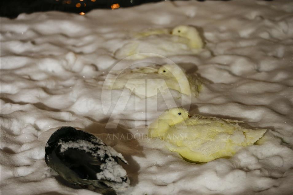 Snowfall in Turkish Capital