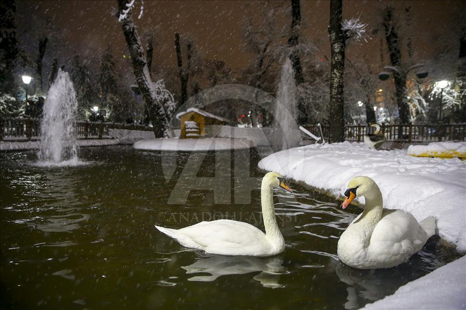Snowy weather in Ankara