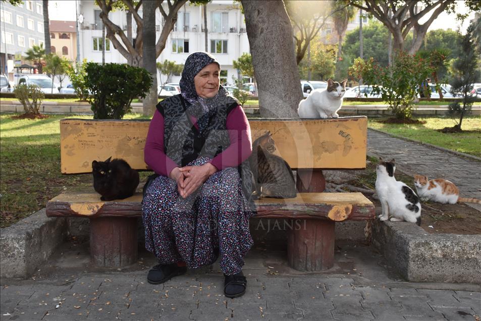 Sahipsiz kedilerin Fadime annesi