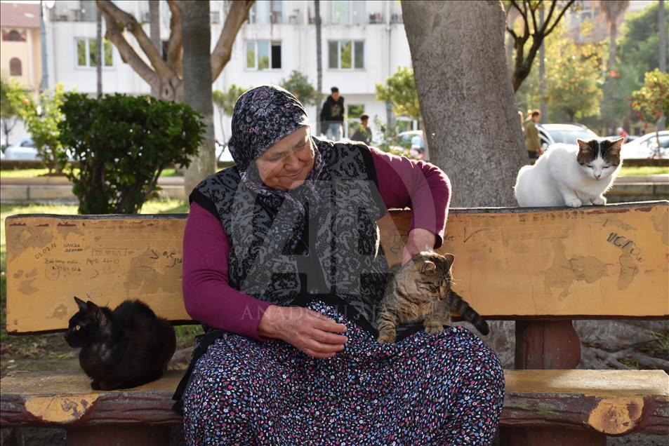 Sahipsiz kedilerin Fadime annesi